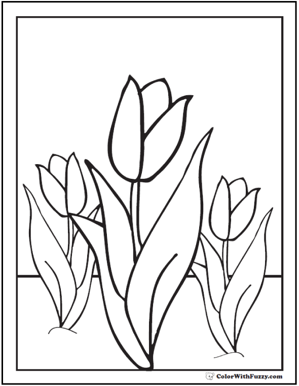 Tulip flower coloring pages pdf printables