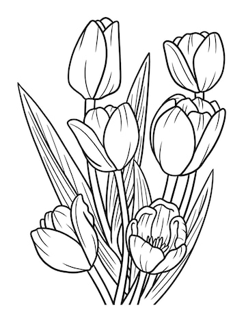 Premium vector tulips flower coloring page for adults