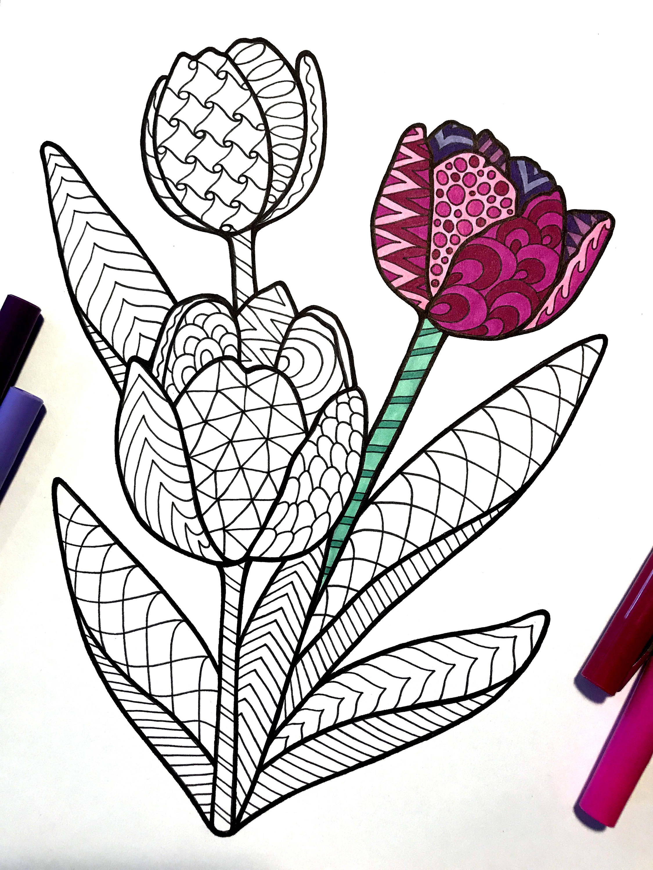 Tulips â pdf zentangle coloring page â scribble stitch