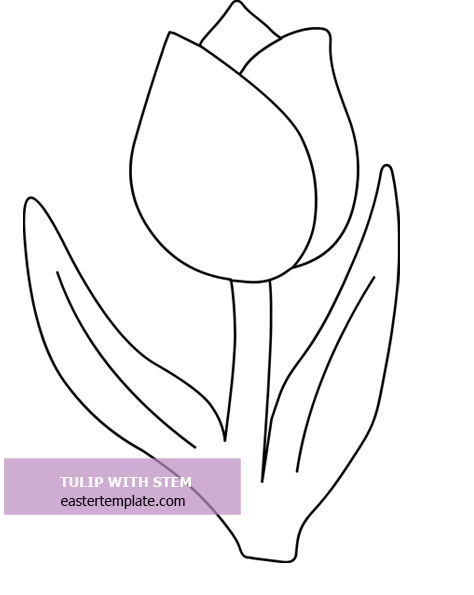 Tulip with stem template pdf