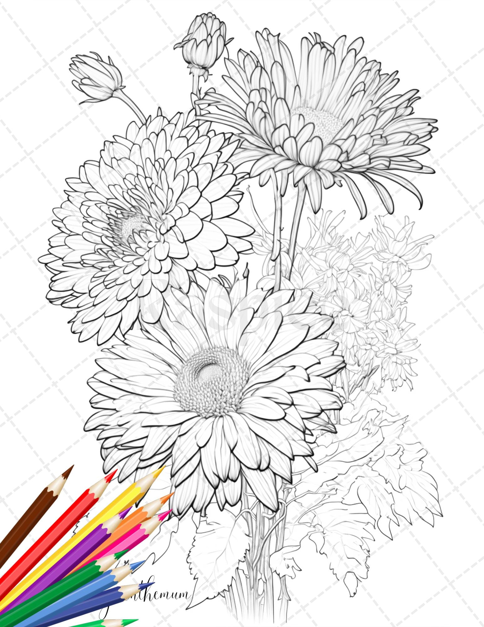 Botanical flowers printable coloring pages for adults floral grays â coloring