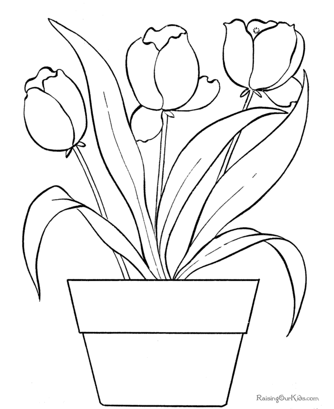 Tulip coloring pages printable for free download