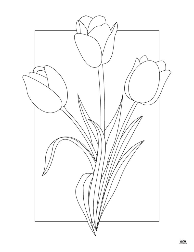 Flower coloring pages