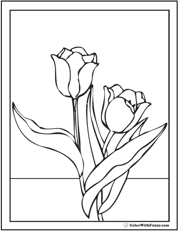 Tulip flower coloring pages pdf printables