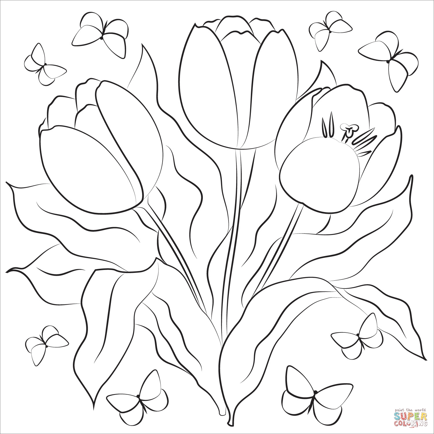 Tulip coloring page free printable coloring pages