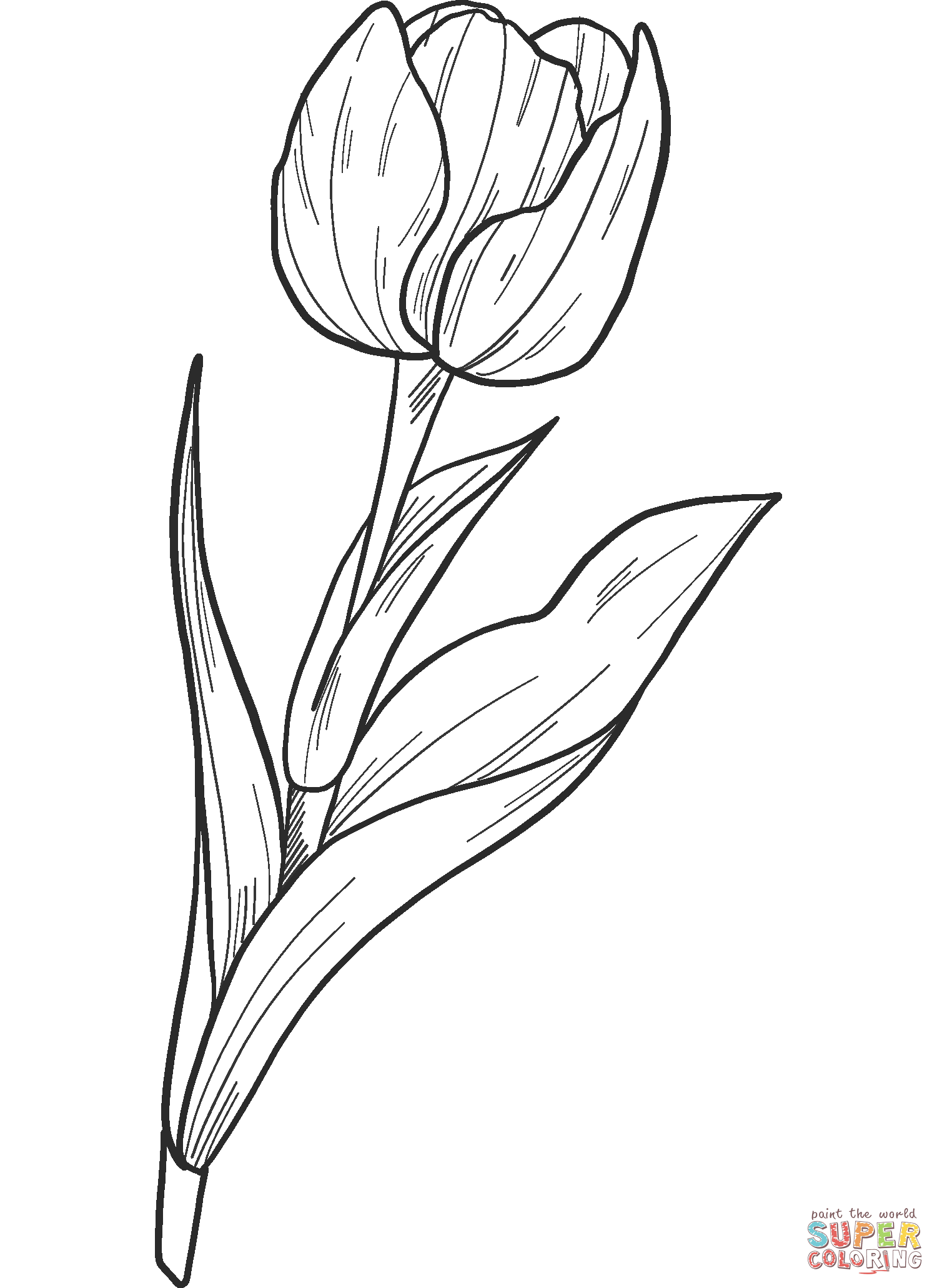 Tulip coloring page free printable coloring pages