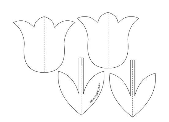 D tulip template printable free