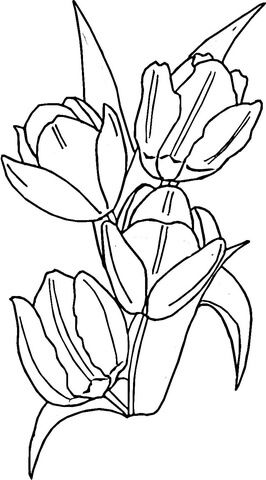 Tulips coloring page free printable coloring pages coloring pages printable coloring pages flower coloring pages