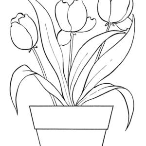 Tulip coloring pages printable for free download