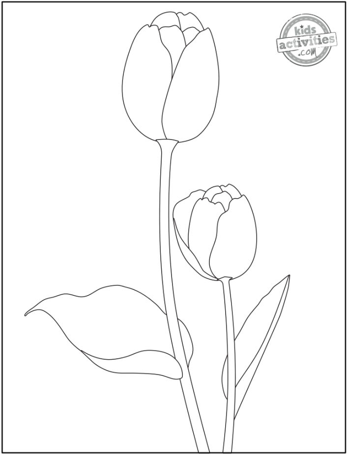 Printable flower coloring pages for kids