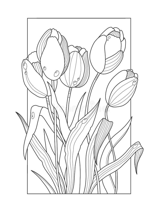 Tulip coloring stock illustrations â tulip coloring stock illustrations vectors clipart