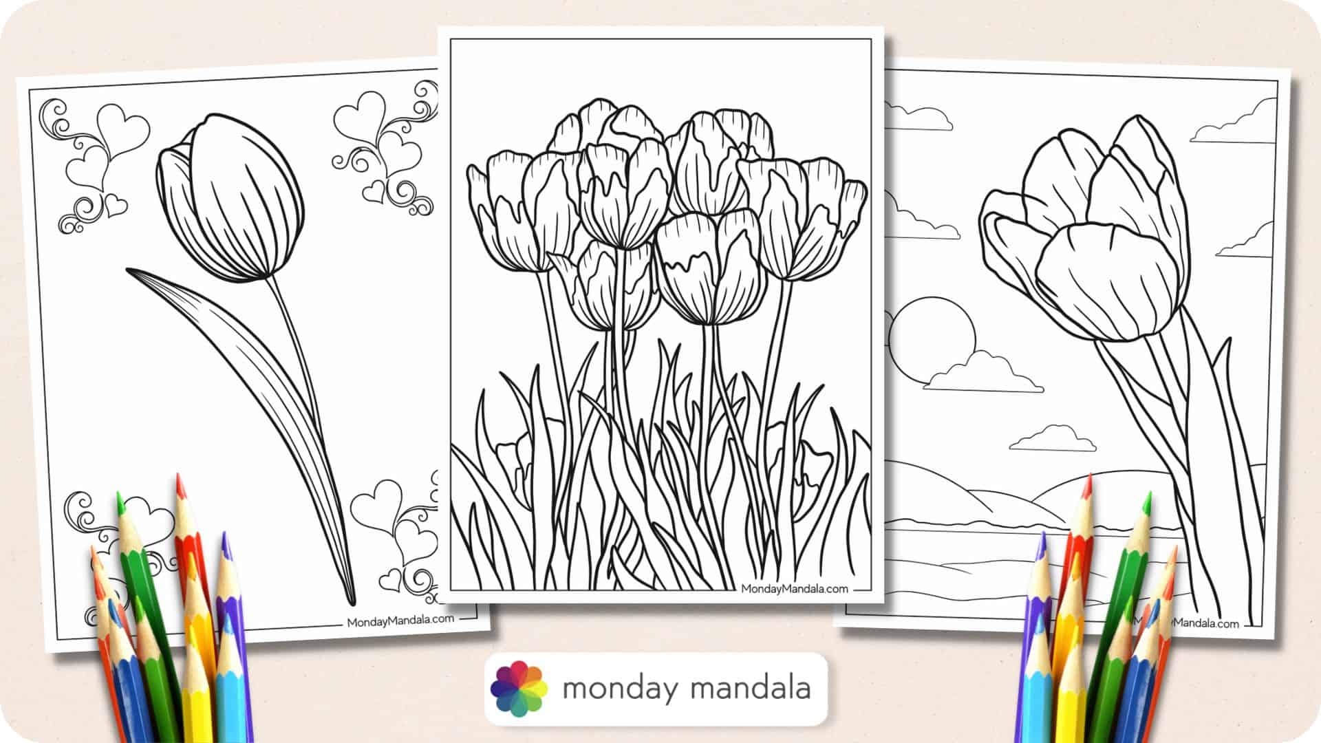 Tulip coloring pages free pdf printables