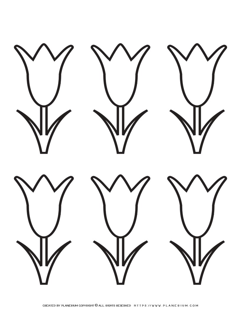 Tulip template printable