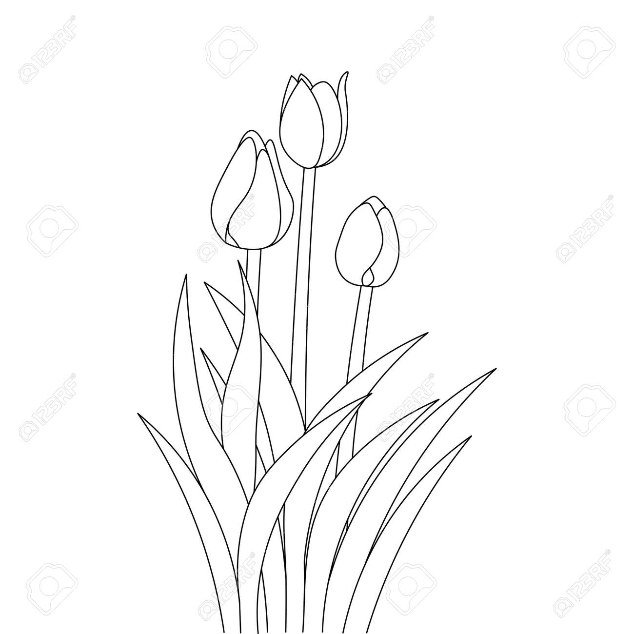 Tulip line art flower coloring page design for printing template continuous black stroke royalty free svg cliparts vectors and stock illustration image