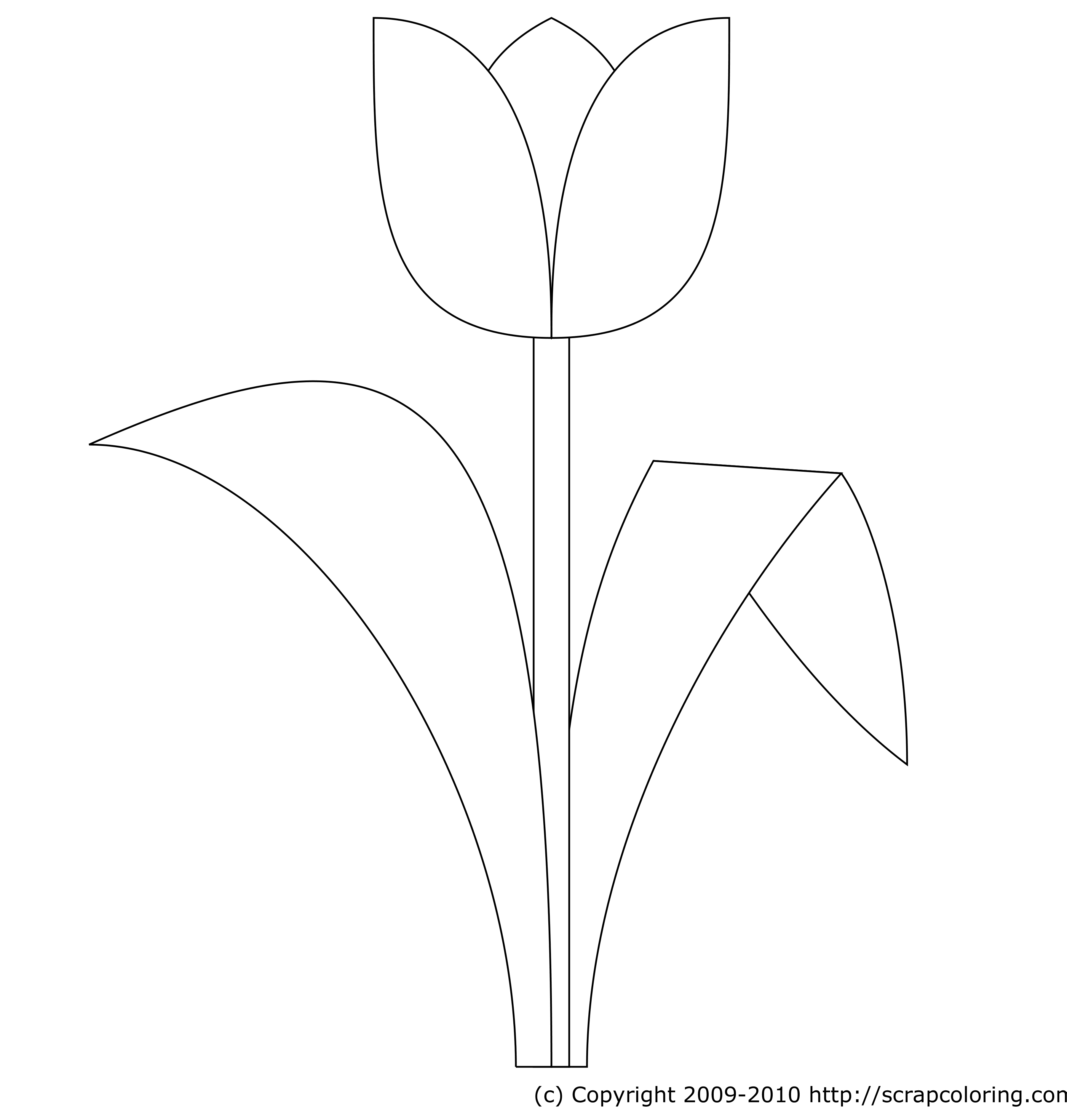 Tulip coloring page