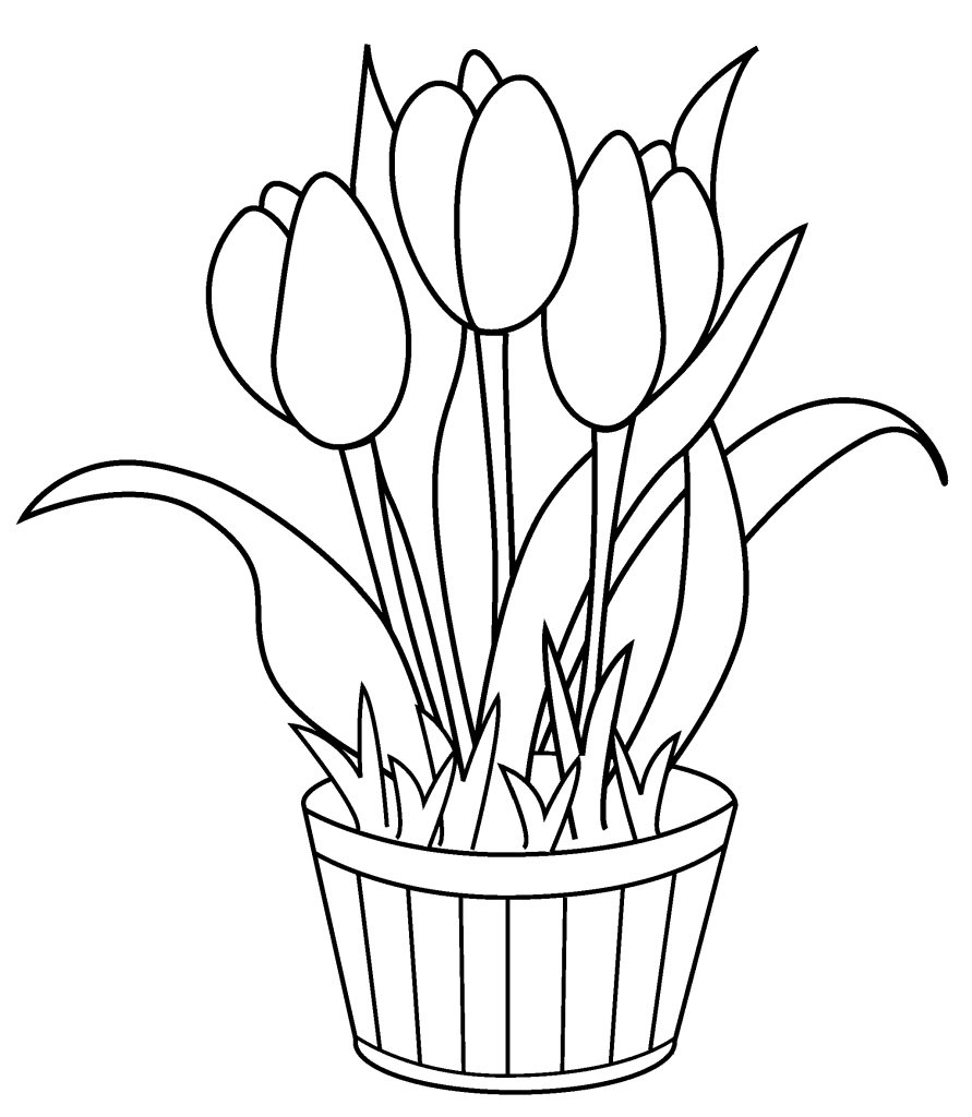 Free printable tulip coloring pages for kids