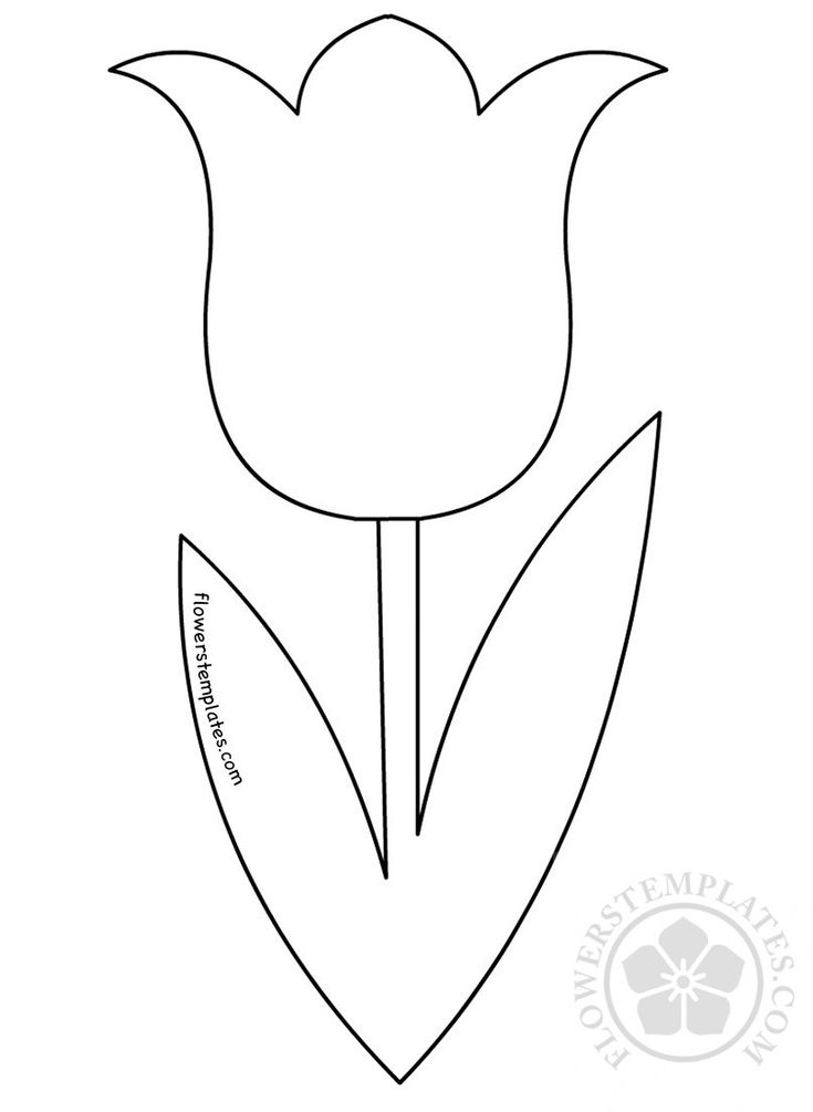 Tulip template shape coloring pages flower templates printable free printable flower coloring pages