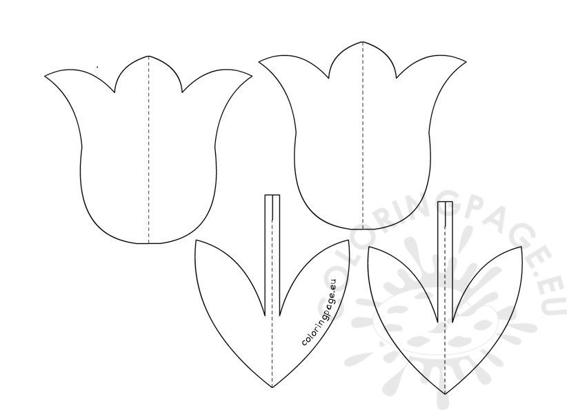 D tulip flower template coloring page