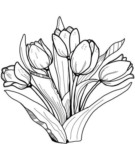 Dibujo de tulipanes para colorear dibujos para colorear imprimir gratis