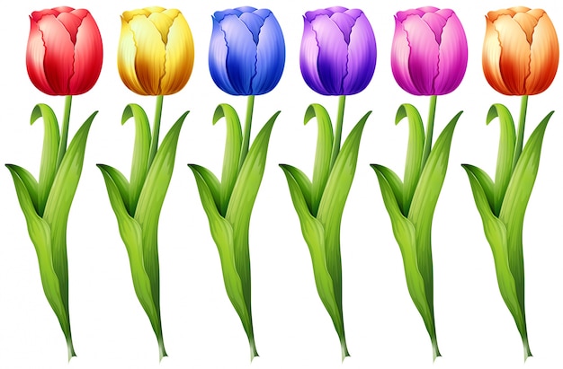 Page tulips easter vectors illustrations for free download