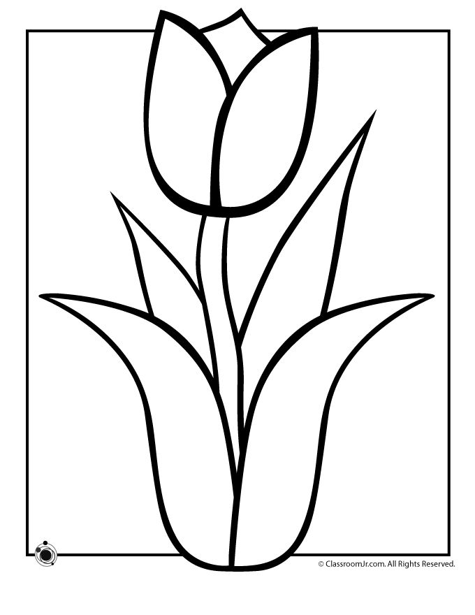 Spring tulip coloring page classroom jr spring coloring pages flower coloring pages coloring pages