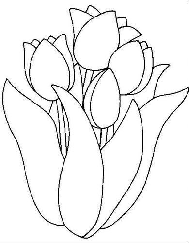 Tulipanes para colorear tulipanes dibujo pãginas para colorear de flores