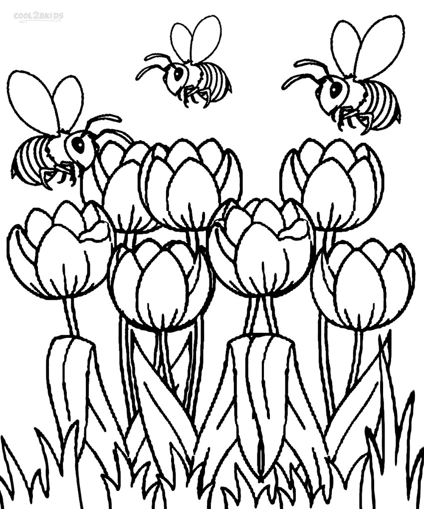 Dibujo de tulipanes para colorear