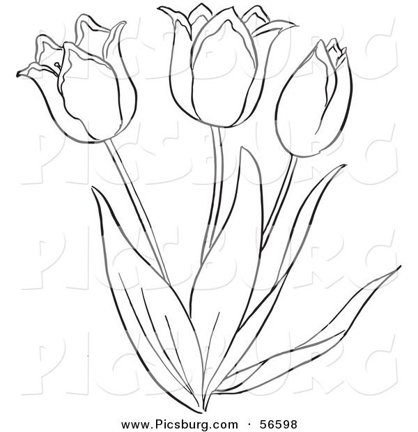 Tulipanes para imprimir