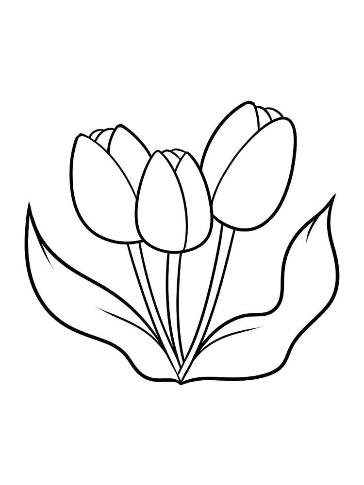 Printable and easy tulip coloring pages for kids