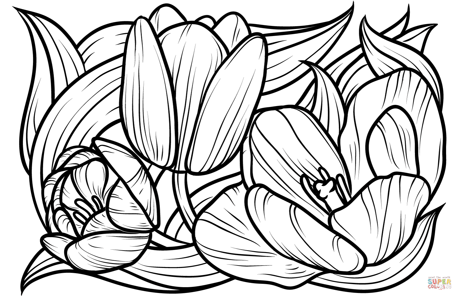 Dibujo de tulipanes para colorear dibujos para colorear imprimir gratis