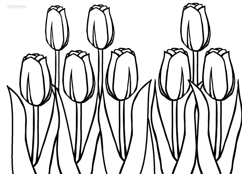 Dibujo de tulipanes para colorear