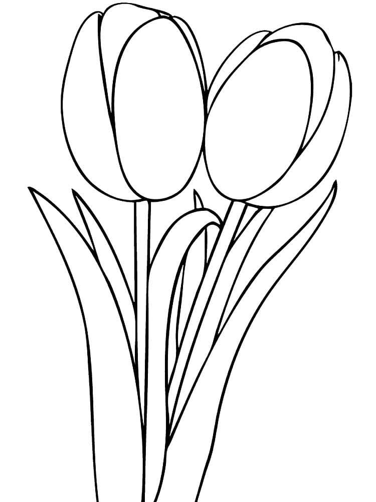 Dibujos de tulipanes para colorear wonder day â dibujos para colorear para niãos y adultos