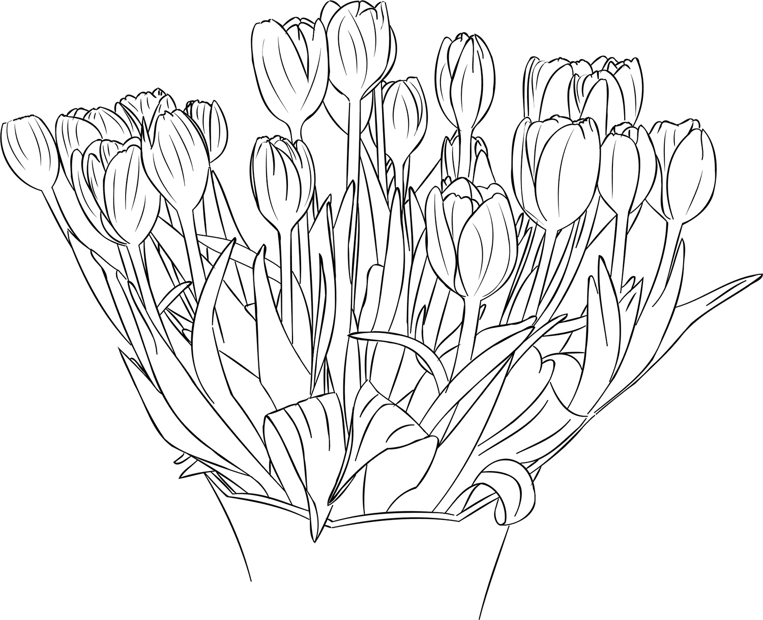 Coloring pages tulips coloring pages for your little one