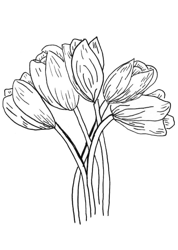 Original tulip coloring pages floral coloring easy fun coloring pages adult coloring pages diy art printable coloring pages tulips