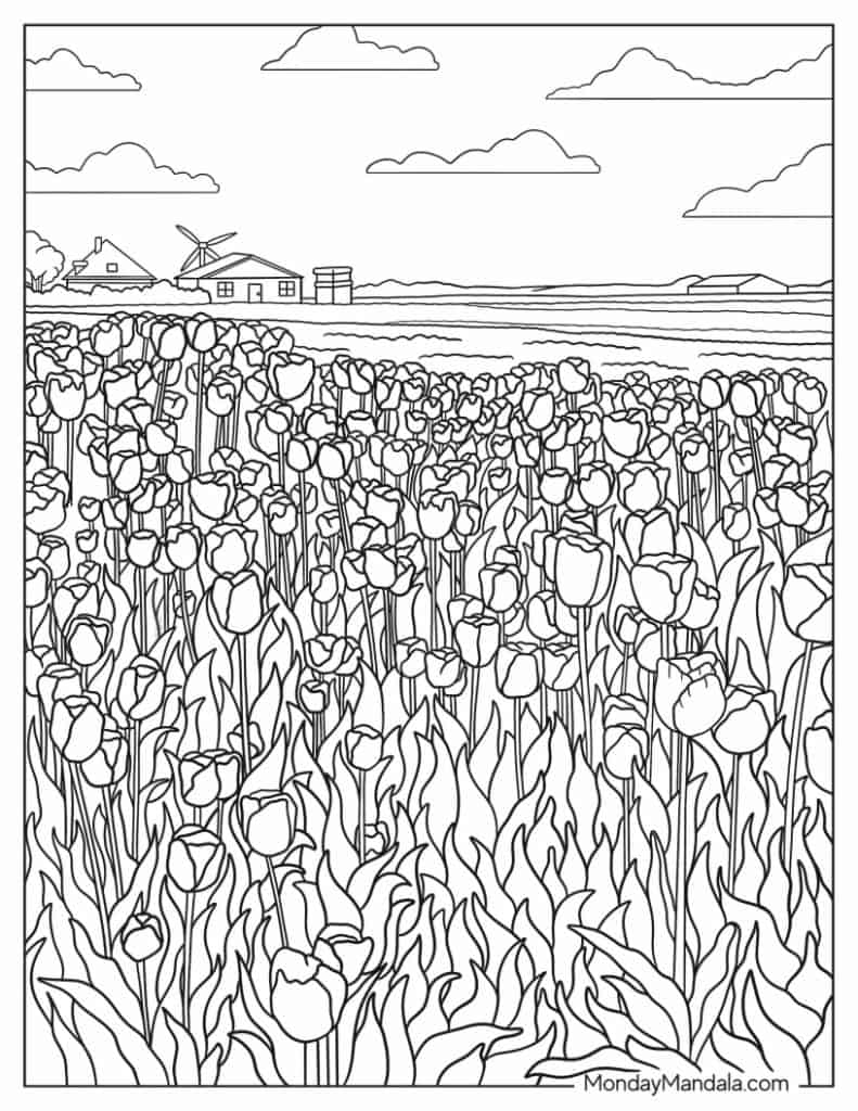 Tulip coloring pages free pdf printables