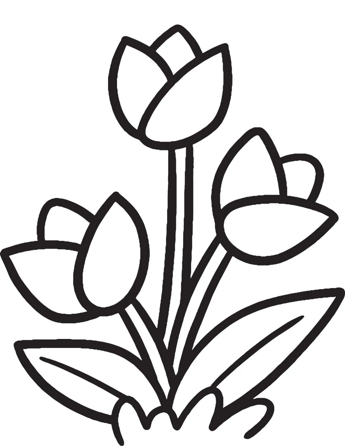 Free tulip coloring pages to celebrate spring