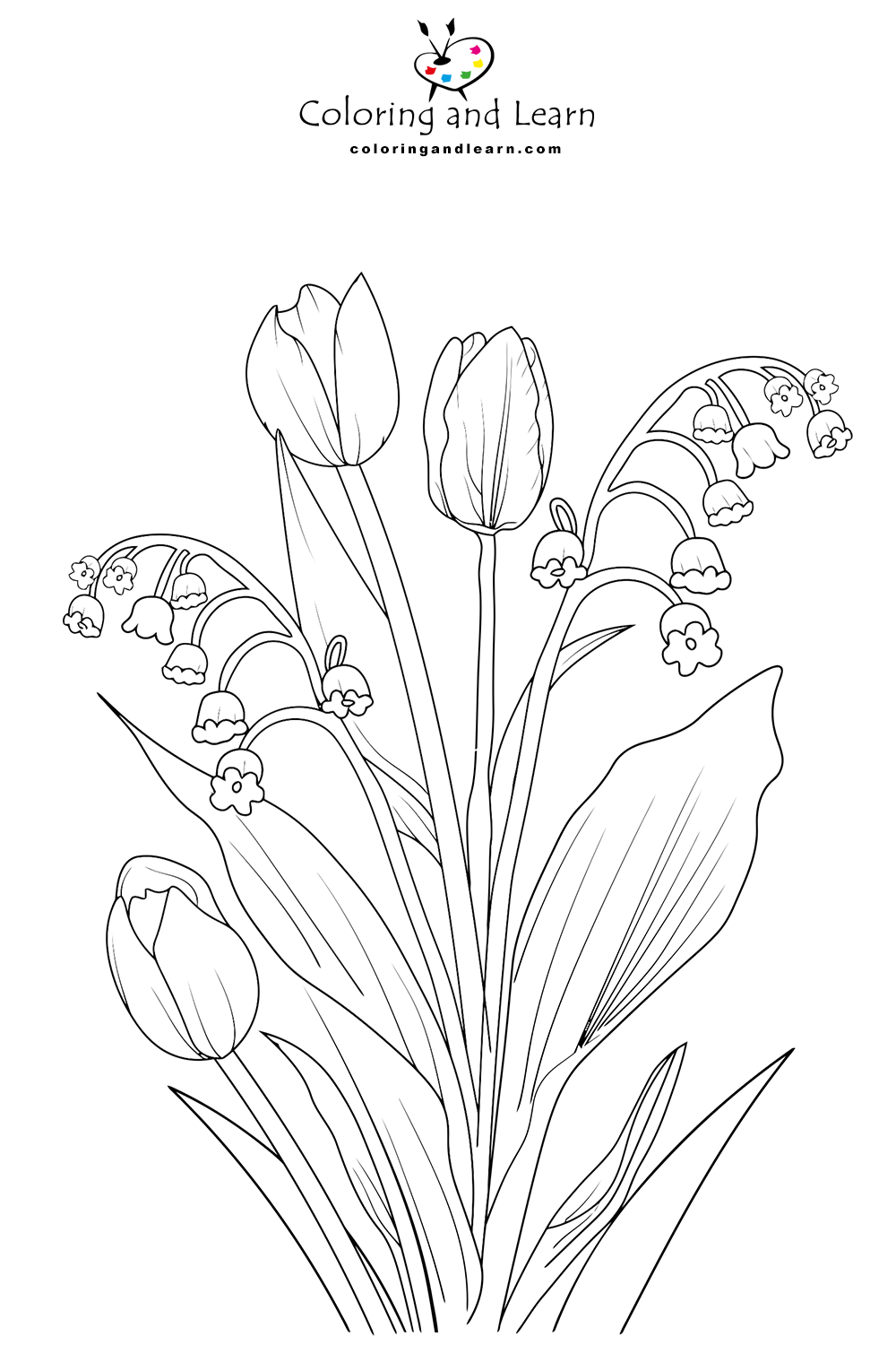 Tulips coloring pages