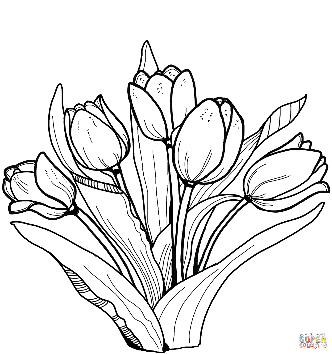 Tulips coloring page free printable coloring pages tulip drawing free printable coloring pages coloring pages