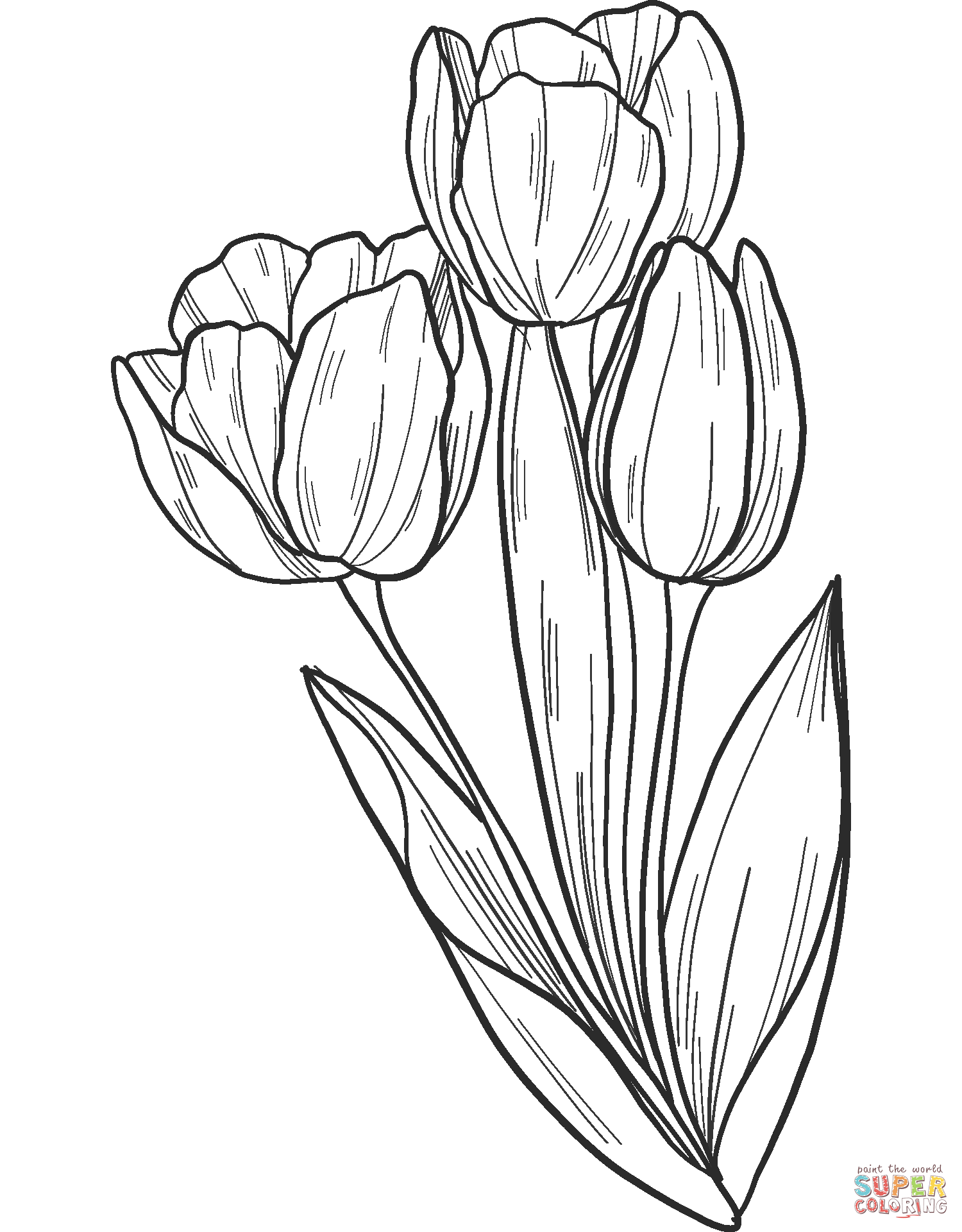 Bouquet of tulips coloring page free printable coloring pages