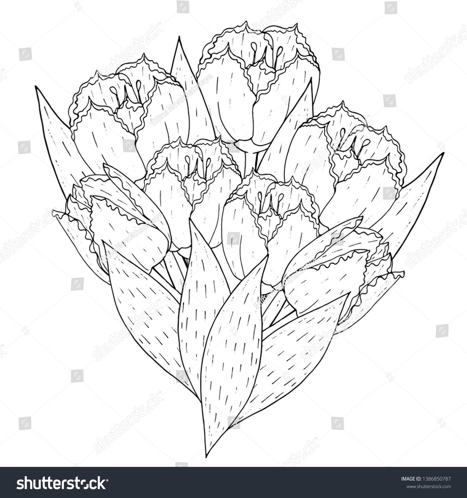 Floral template tulip printable coloring book stock vector royalty free