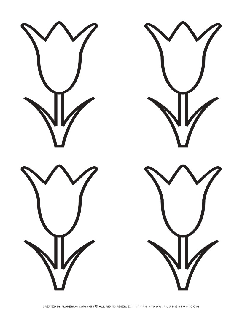 Tulip template printable