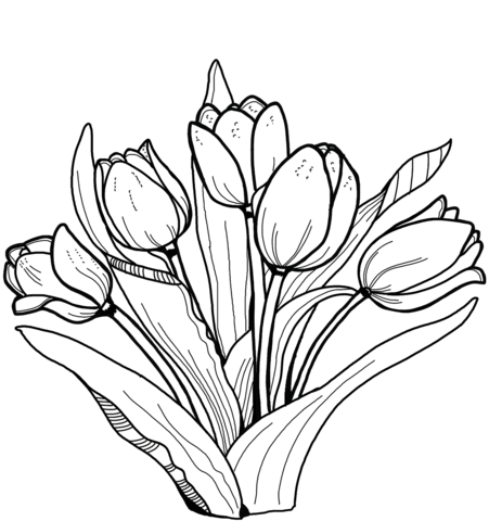Tulips coloring page free printable coloring pages