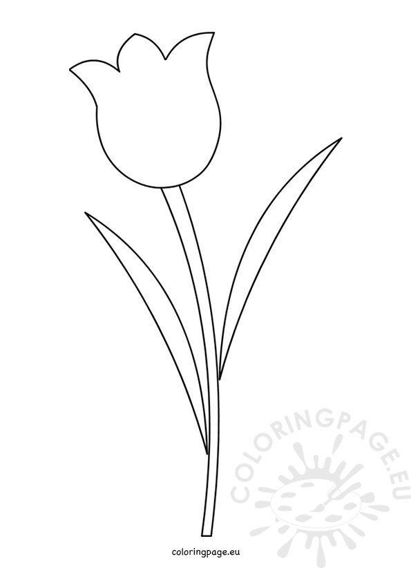 Tulip flower template printable coloring page