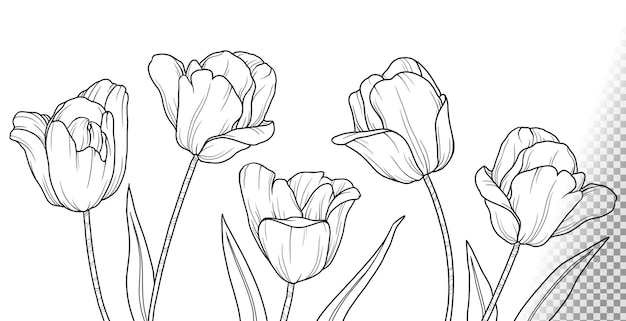 Page tulips template