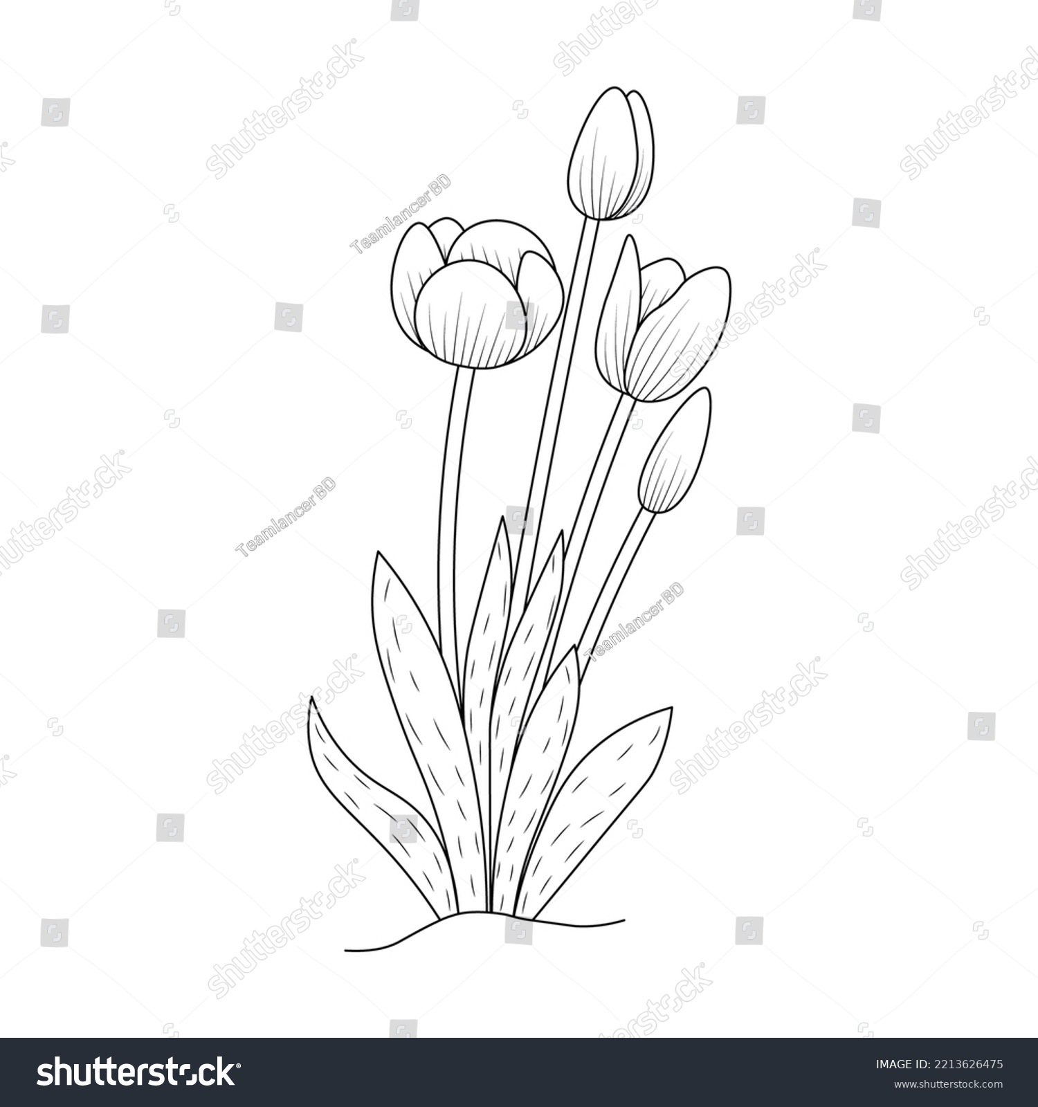 Tulip flower coloring page design book stock vector royalty free