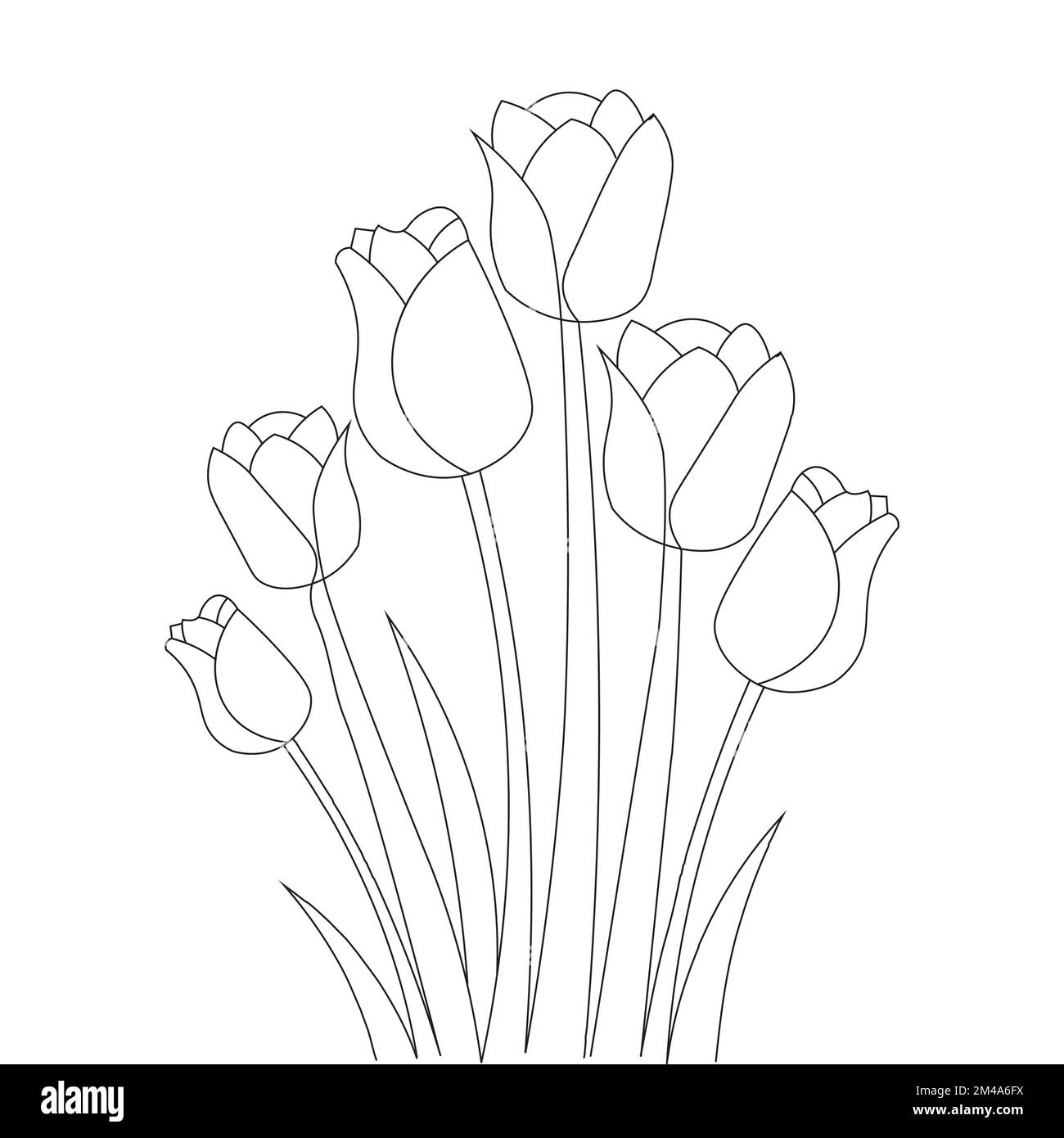 Simple tulip design hi