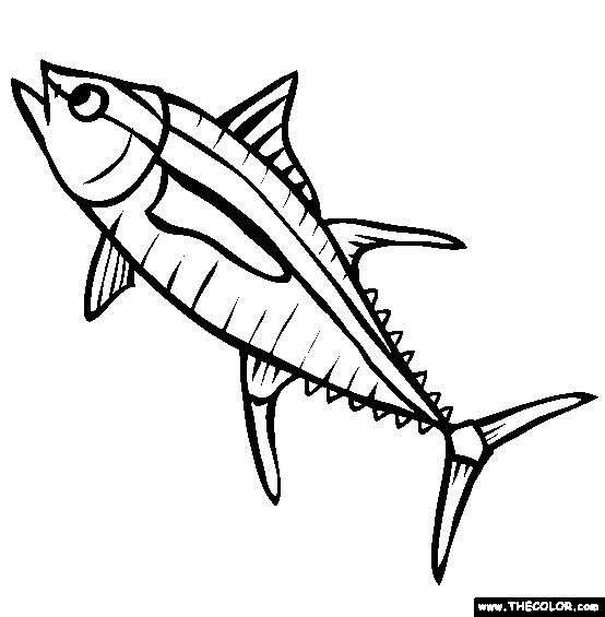 Yellowfin tuna online coloring page