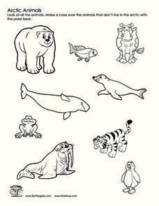 Arctic animals worksheet animal worksheets arctic tundra north pole animals