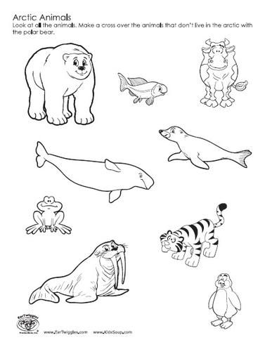 Best images of arctic tundra animals worksheet