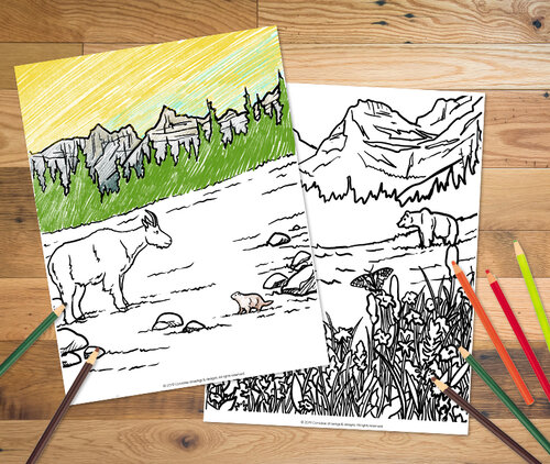 Color glacier national park coloring pages â corvidae drawings designs